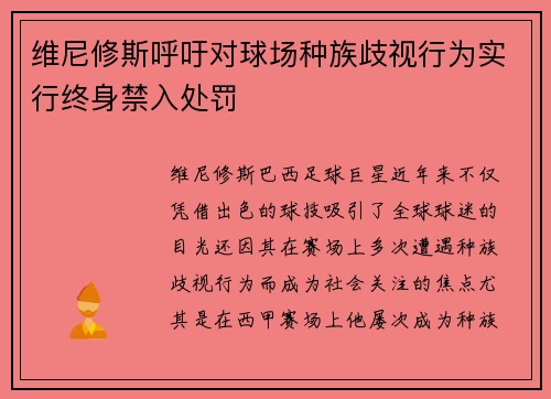 维尼修斯呼吁对球场种族歧视行为实行终身禁入处罚