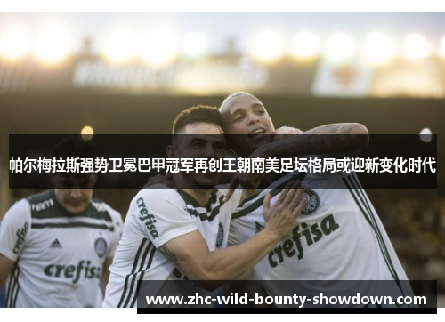 帕尔梅拉斯强势卫冕巴甲冠军再创王朝南美足坛格局或迎新变化时代