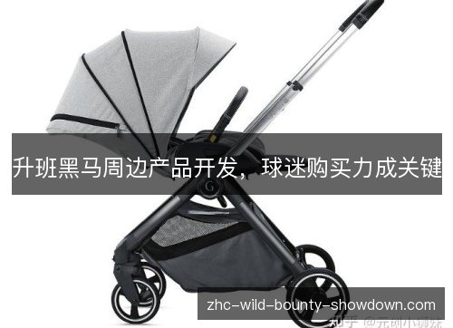 升班黑马周边产品开发,球迷购买力成关键 升班黑马周边产品开发,球迷购买力成关键
